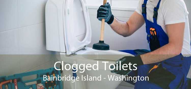 Clogged Toilets Bainbridge Island - Washington