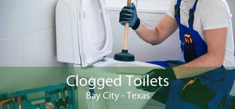 Clogged Toilets Bay City - Texas