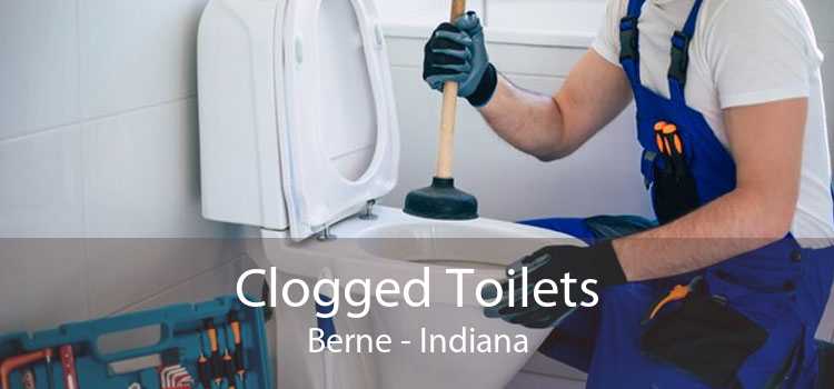 Clogged Toilets Berne - Indiana