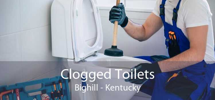 Clogged Toilets Bighill - Kentucky