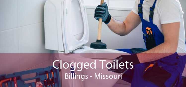 Clogged Toilets Billings - Missouri