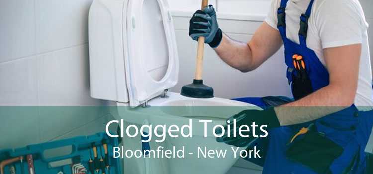 Clogged Toilets Bloomfield - New York