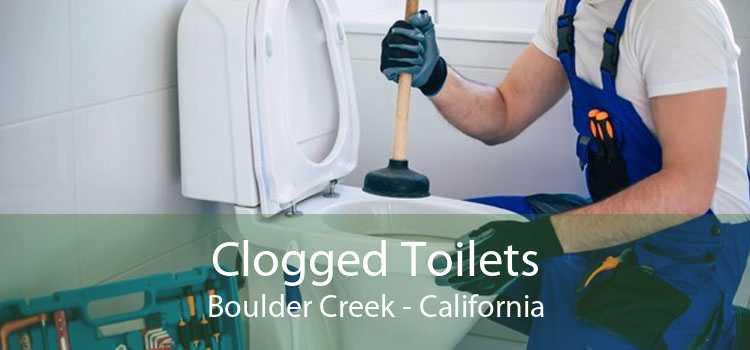 Clogged Toilets Boulder Creek - California