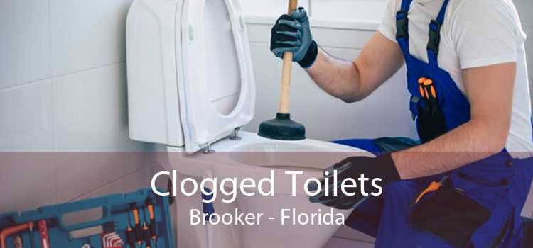 Clogged Toilets Brooker - Florida