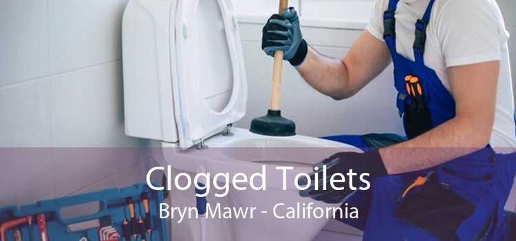 Clogged Toilets Bryn Mawr - California