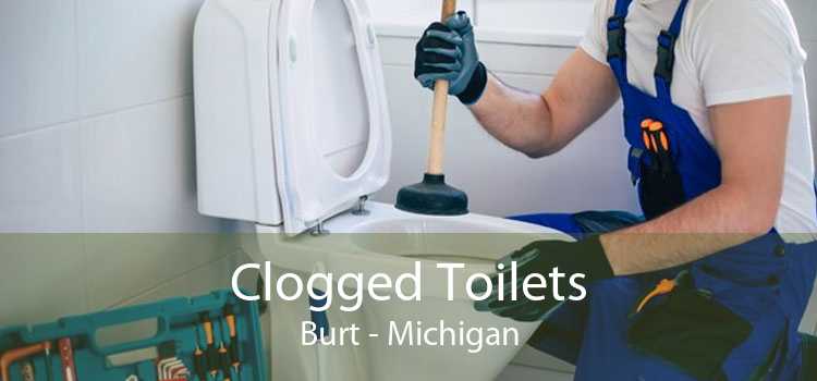 Clogged Toilets Burt - Michigan