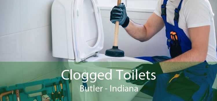 Clogged Toilets Butler - Indiana
