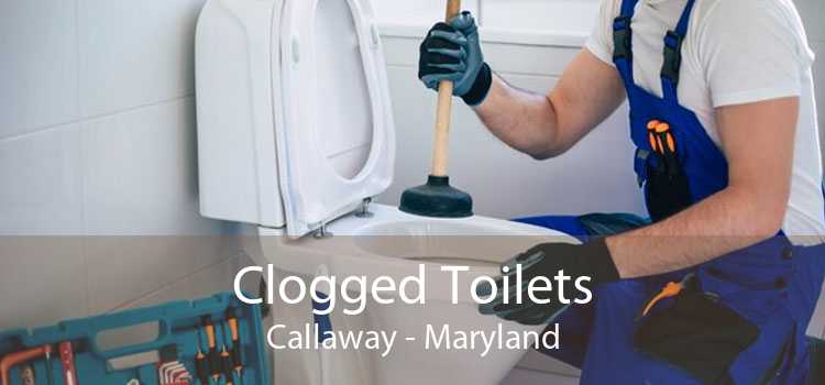 Clogged Toilets Callaway - Maryland