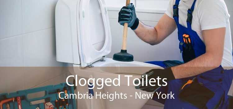 Clogged Toilets Cambria Heights - New York