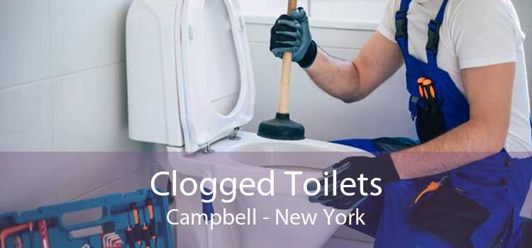 Clogged Toilets Campbell - New York