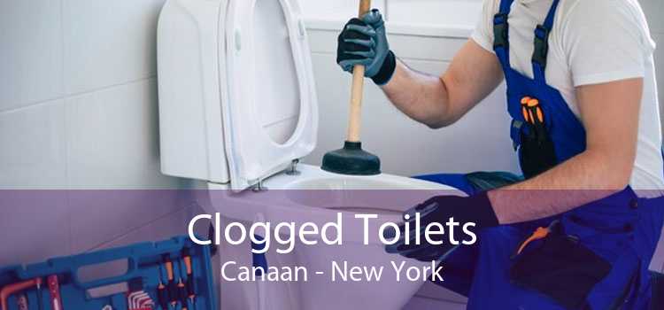 Clogged Toilets Canaan - New York