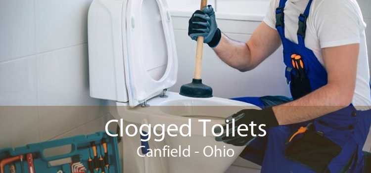 Clogged Toilets Canfield - Ohio