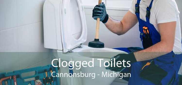Clogged Toilets Cannonsburg - Michigan