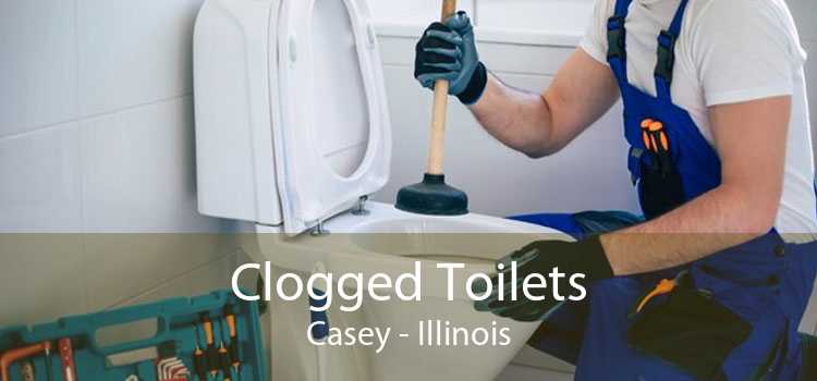 Clogged Toilets Casey - Illinois