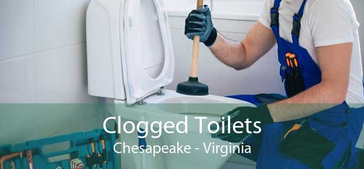 Clogged Toilets Chesapeake - Virginia