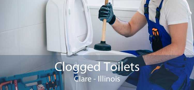 Clogged Toilets Clare - Illinois