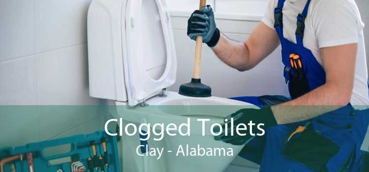Clogged Toilets Clay - Alabama