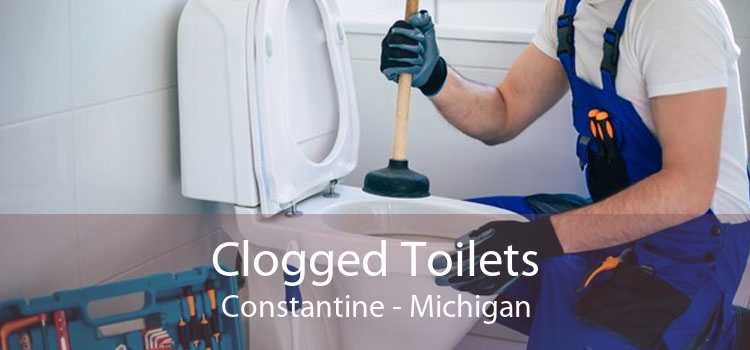 Clogged Toilets Constantine - Michigan