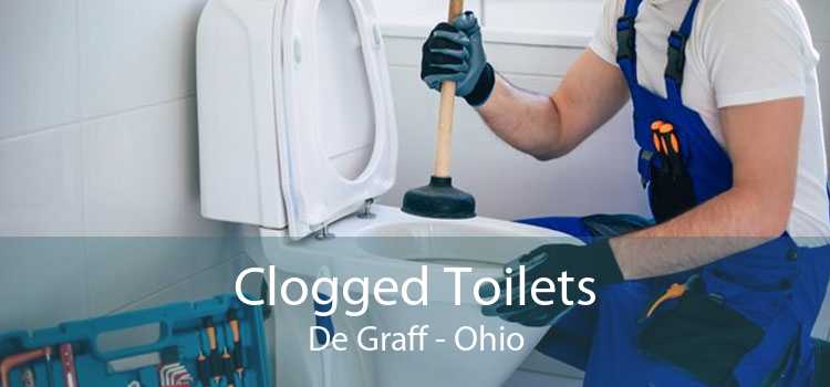 Clogged Toilets De Graff - Ohio