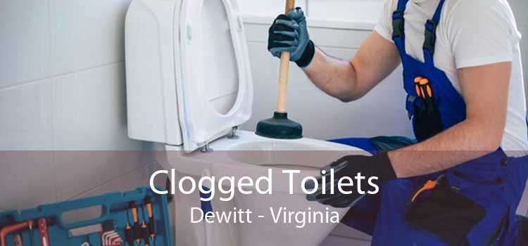 Clogged Toilets Dewitt - Virginia