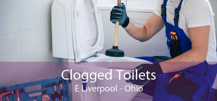 Clogged Toilets E Liverpool - Ohio