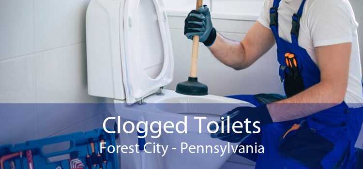 Clogged Toilets Forest City - Pennsylvania