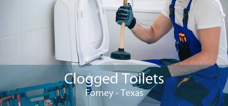 Clogged Toilets Forney - Texas