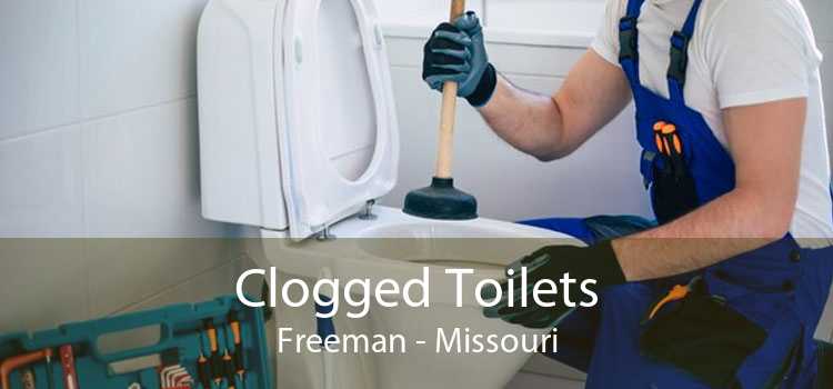 Clogged Toilets Freeman - Missouri