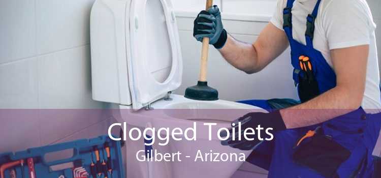 Clogged Toilets Gilbert - Arizona