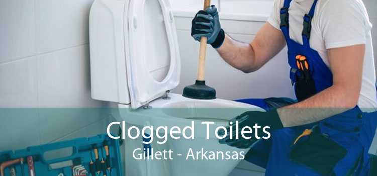Clogged Toilets Gillett - Arkansas