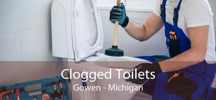 Clogged Toilets Gowen - Michigan