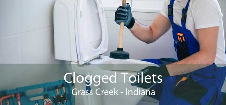 Clogged Toilets Grass Creek - Indiana