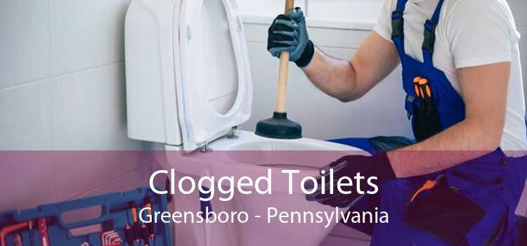 Clogged Toilets Greensboro - Pennsylvania