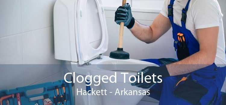 Clogged Toilets Hackett - Arkansas