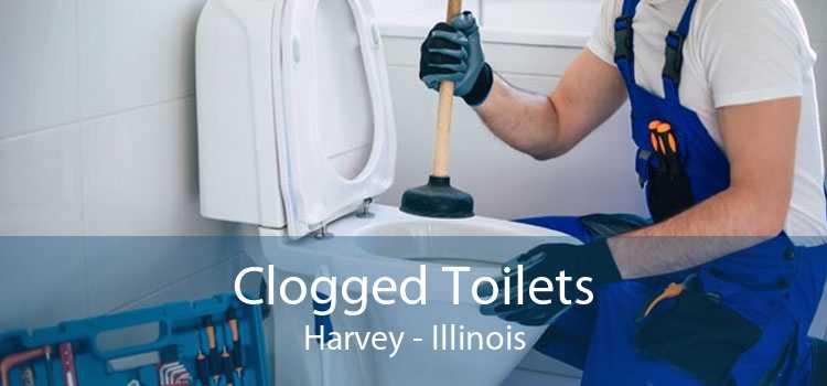 Clogged Toilets Harvey - Illinois