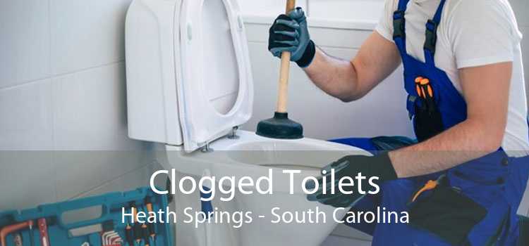 Clogged Toilets Heath Springs - South Carolina
