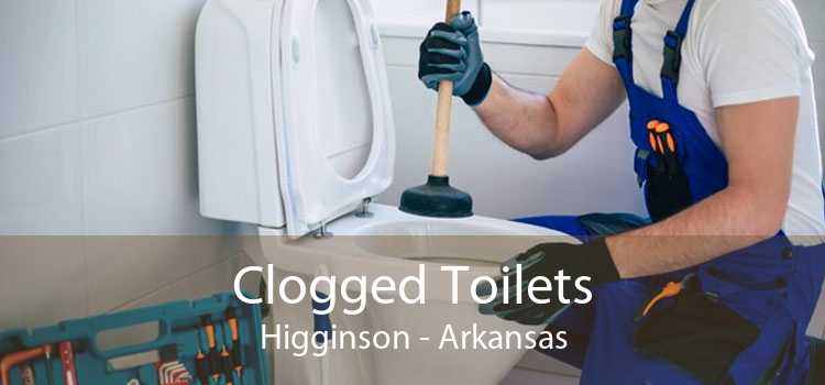 Clogged Toilets Higginson - Arkansas