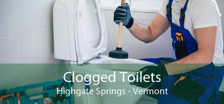 Clogged Toilets Highgate Springs - Vermont