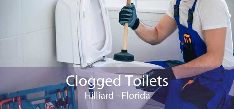 Clogged Toilets Hilliard - Florida