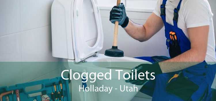Clogged Toilets Holladay - Utah