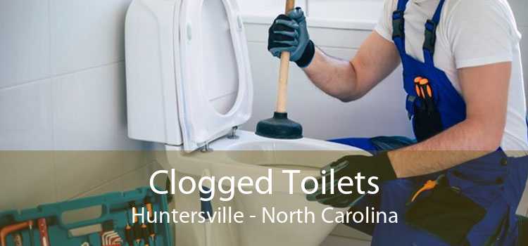 Clogged Toilets Huntersville - North Carolina