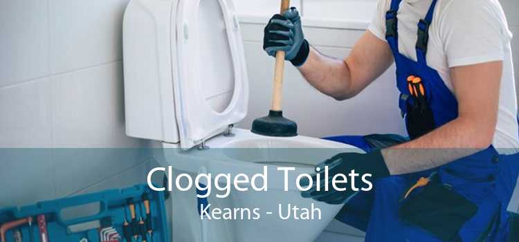 Clogged Toilets Kearns - Utah