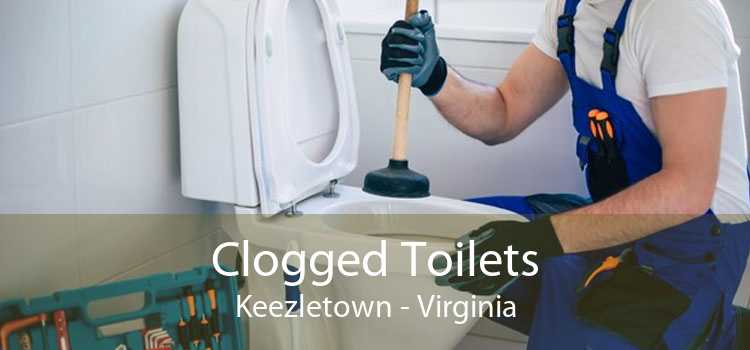 Clogged Toilets Keezletown - Virginia