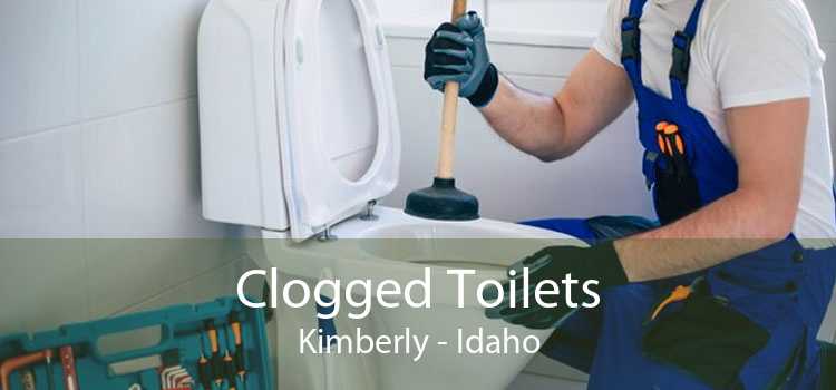 Clogged Toilets Kimberly - Idaho