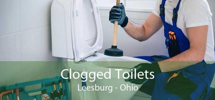 Clogged Toilets Leesburg - Ohio