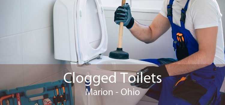 Clogged Toilets Marion - Ohio