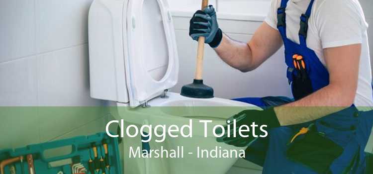 Clogged Toilets Marshall - Indiana