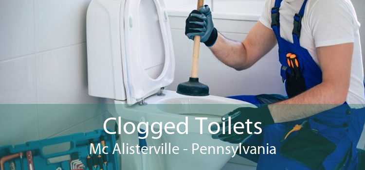 Clogged Toilets Mc Alisterville - Pennsylvania