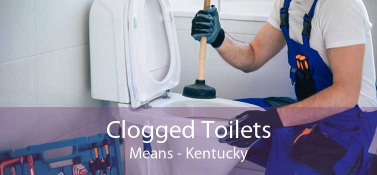 Clogged Toilets Means - Kentucky