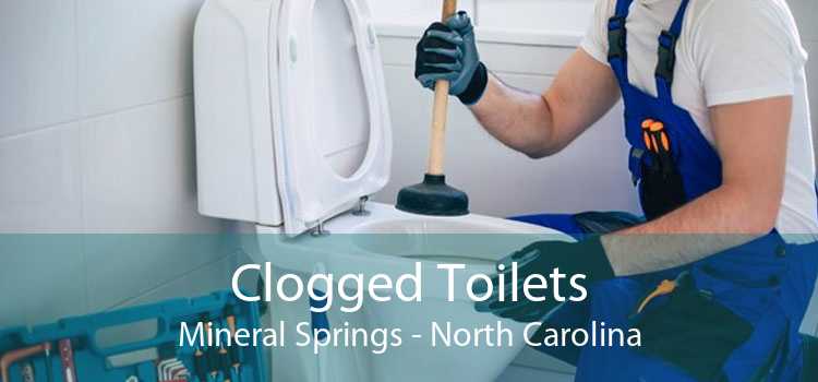 Clogged Toilets Mineral Springs - North Carolina